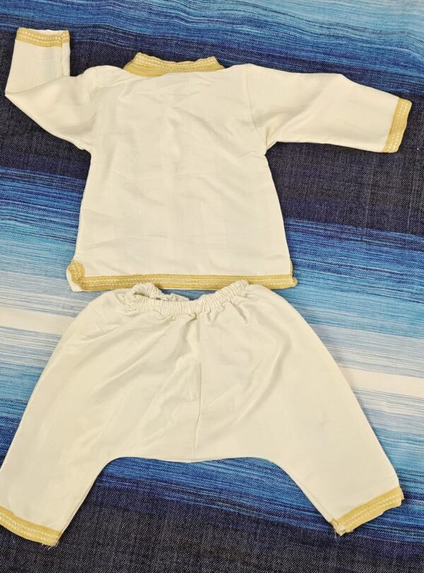 Baby Jabador Creamy white & Gold - Image 2
